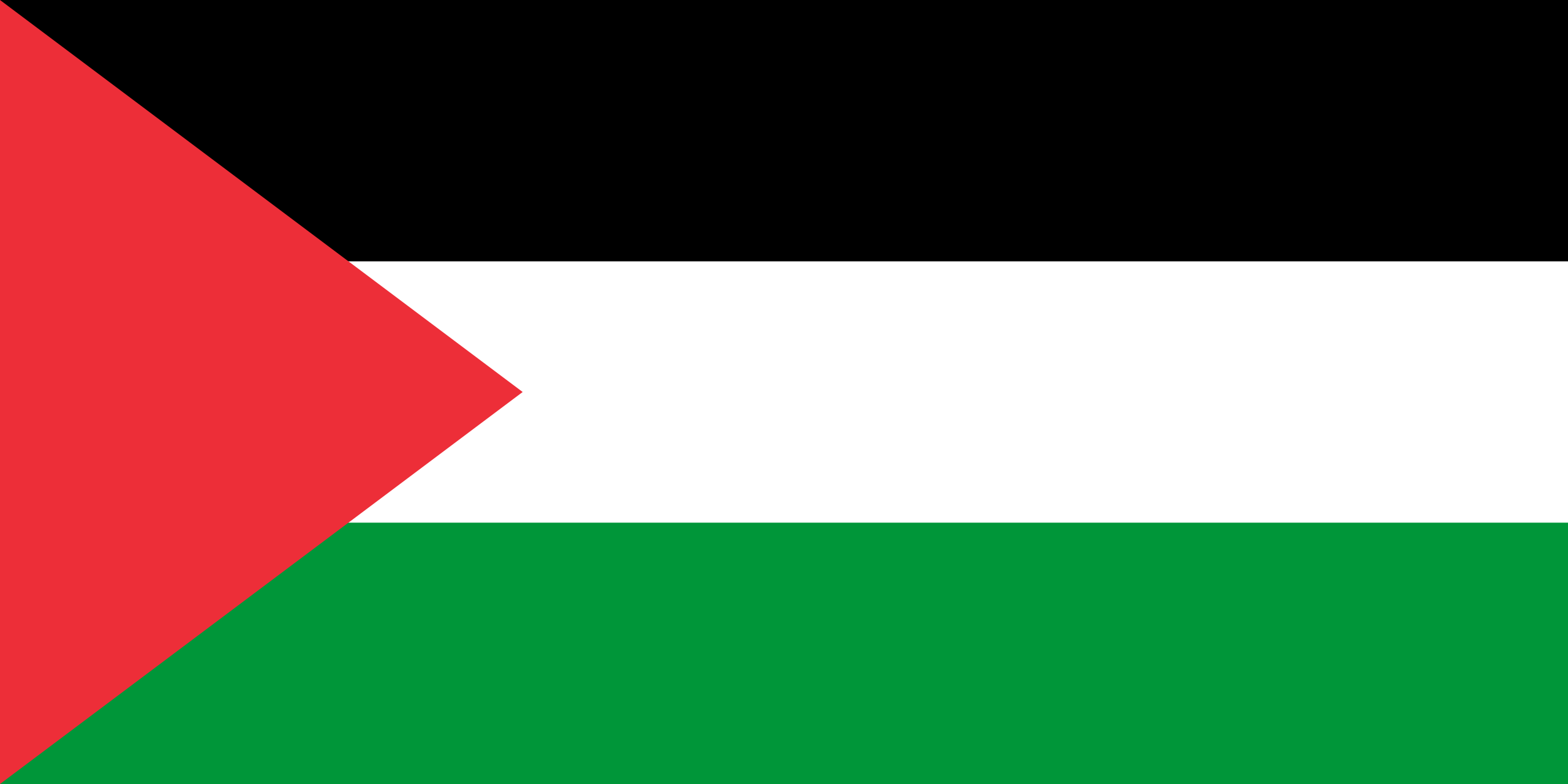 flag palestine